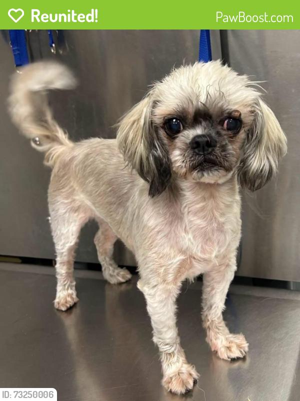 Reunited Unknown Dog last seen Located at Rockdale County Animal Service, 1506 Rockbridge Road, Conyers, GA 30012, Conyers, GA 30012