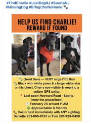 Lost Male Dog last seen Hayward Road, Sparta NJ 07871, Sparta, NJ 07871
