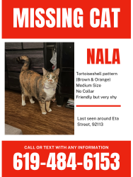 Lost Female Cat last seen Eta st & S 42nd st, San Diego, CA 92113