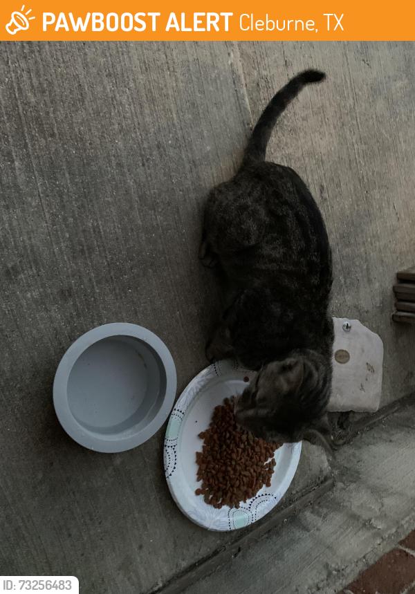 Found/Stray Unknown Cat last seen Hideaway, Cleburne, TX 76033