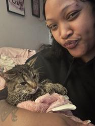 Reunited Female Cat last seen U haul on St Andrew’s, Columbia, SC 29210