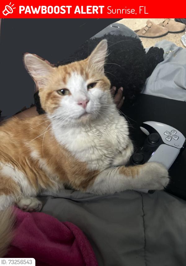 Lost Male Cat last seen White pick up truck, Sunrise, FL 33351