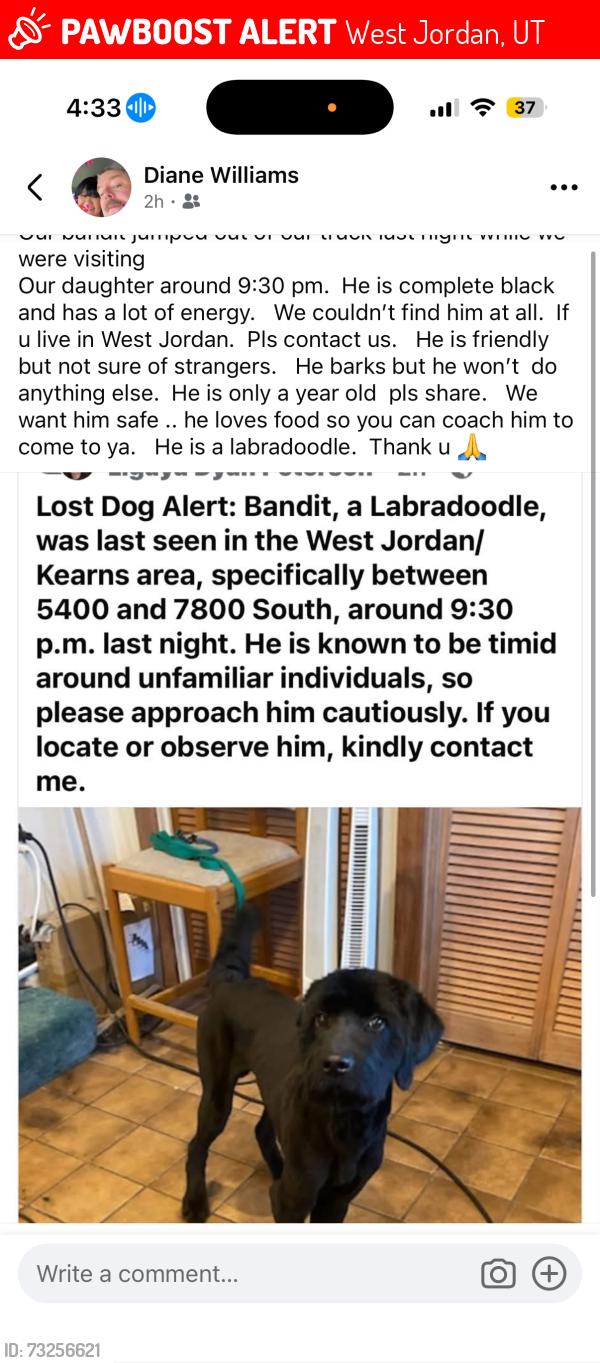 Lost Male Dog last seen Near south Bacchus., West Jordan, UT 84081