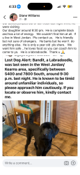 Lost Male Dog last seen Near south Bacchus., West Jordan, UT 84081