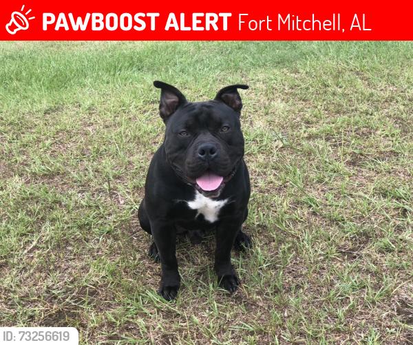 Lost Male Dog last seen By the dropzone, Fort Mitchell, AL 36856