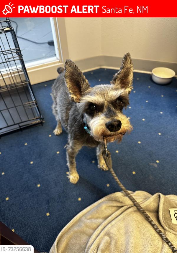 Lost Male Dog last seen santa fe new mexico, Santa Fe, NM 87508