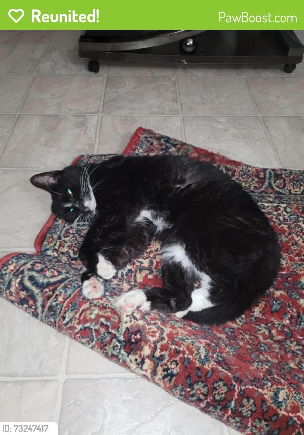 Reunited Female Cat last seen Tweedle Place Edmonton, Edmonton, AB 
