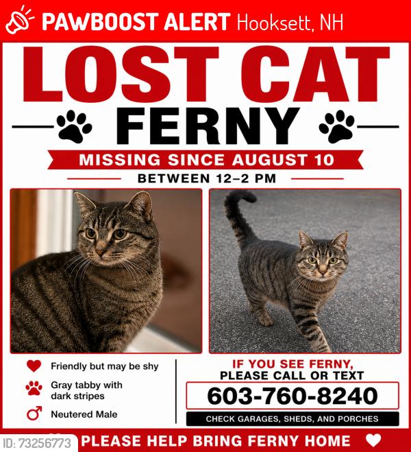 Lost Male Cat last seen Close to Amazon warehouse, Hooksett, NH 03106