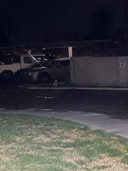 Found/Stray Unknown Dog last seen 29th st, somerset apmts, Tucson, AZ 85711