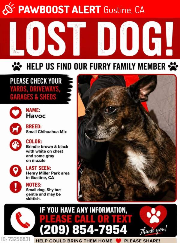 Lost Male Dog last seen Henry Miller park, Gustine, CA 95322