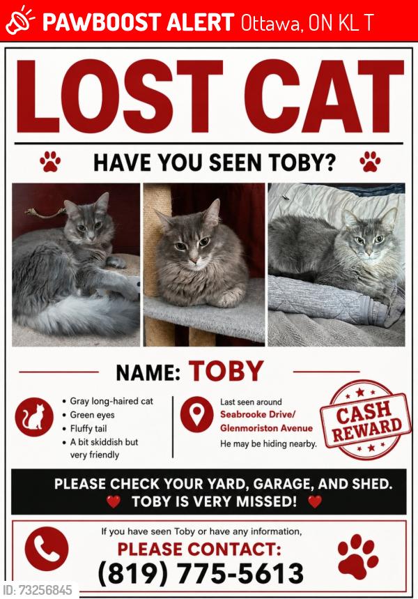 Lost Male Cat last seen Seabrooke drive, Ottawa, ON K2L 1T1