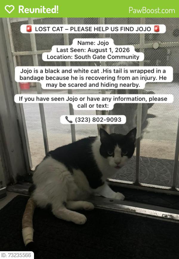 Reunited Male Cat last seen Southern Tweedy, South Gate, CA 90280