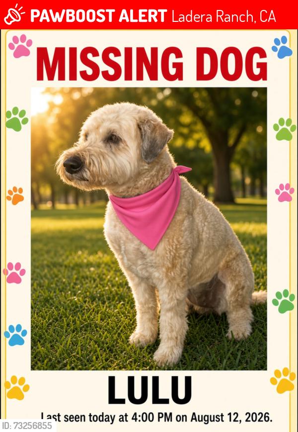 Lost Female Dog last seen San Jose & Mission Ridge, Ladera Ranch, CA 92694