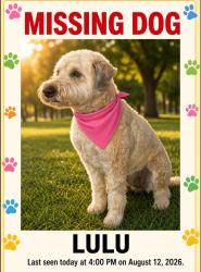 Lost Female Dog last seen San Jose & Mission Ridge, Ladera Ranch, CA 92694