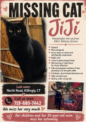 Lost Female Cat last seen North Road, Killingly, CT 06239