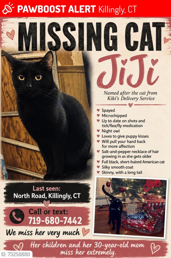 Lost Female Cat last seen North Road, Killingly, CT 06239