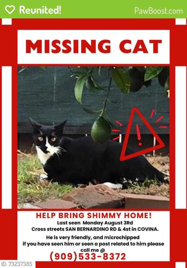 Reunited Male Cat last seen Near W San Bernardino Rd, Covina, CA 91723, USA, Covina, CA 91723
