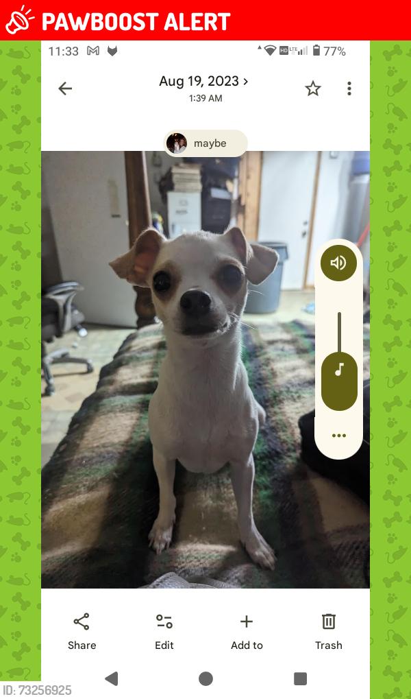 Lost Female Dog last seen Old fire station, Homestead Valley, CA 92285