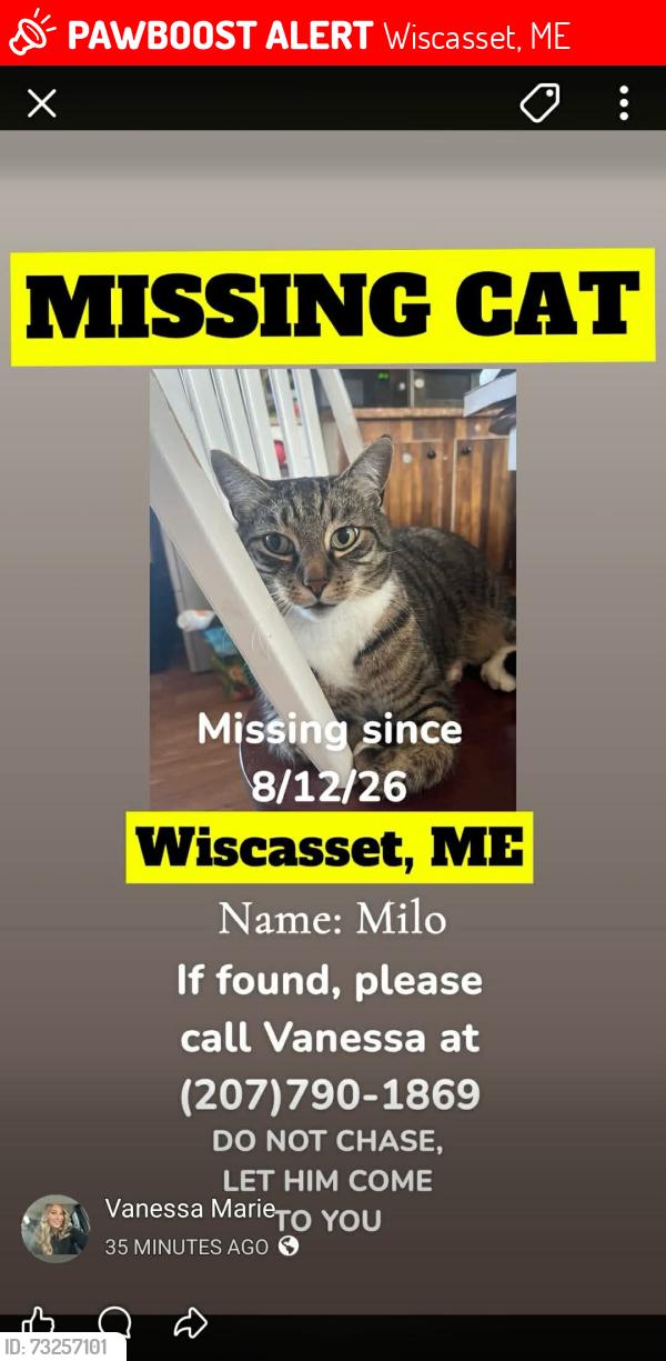 Lost Male Cat last seen Veterinarian office on 27, Wiscasset, ME 04578