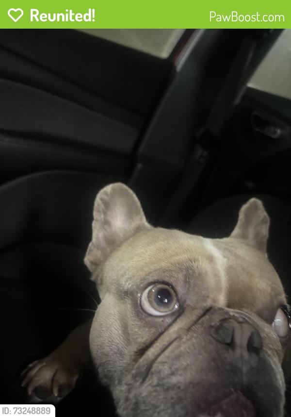 Reunited Male Dog last seen Near a busy road, Nashville, TN 37076