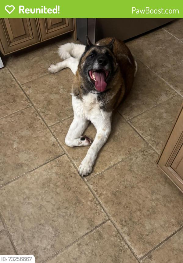 Reunited Unknown Dog last seen Bridgetwon, Fort Myers, FL 33913