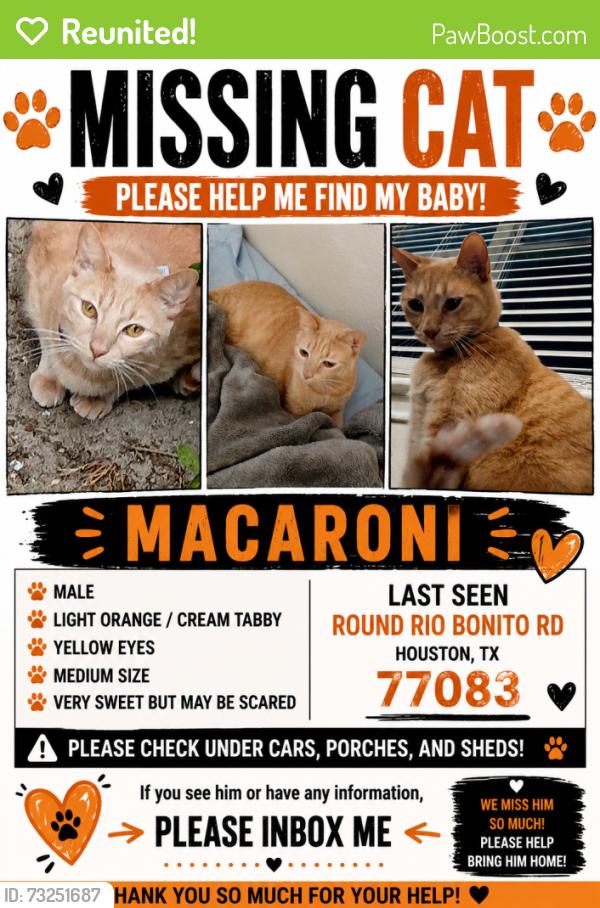 Reunited Male Cat last seen Rio bonito, Houston, TX 77083