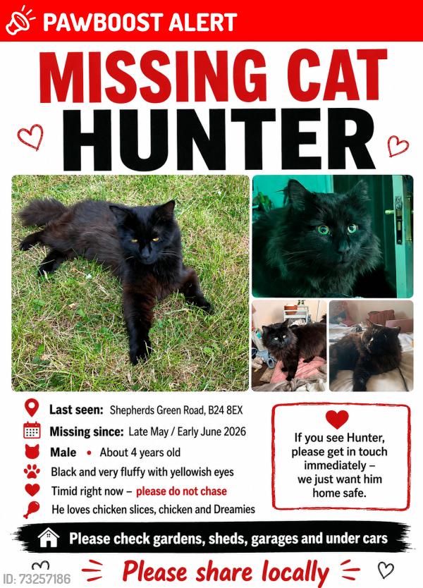Lost Male Cat last seen B24 8EX, West Midlands, England B24 8EX