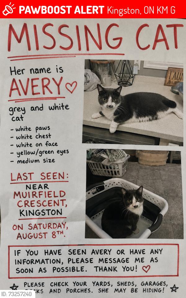 Lost Female Cat last seen Davis and Centennial, Kingston, ON K7M 8G2