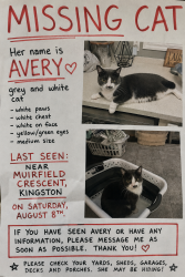 Lost Female Cat last seen Davis and Centennial, Kingston, ON K7M 8G2
