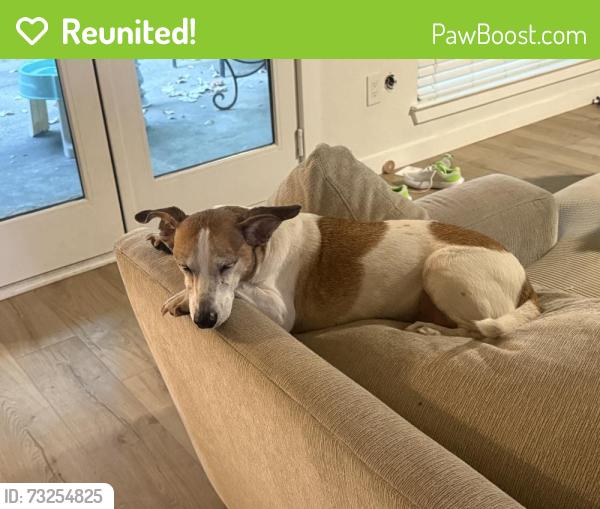 Reunited Female Dog last seen Next to Bailey Jr high, Arlington, TX 76013