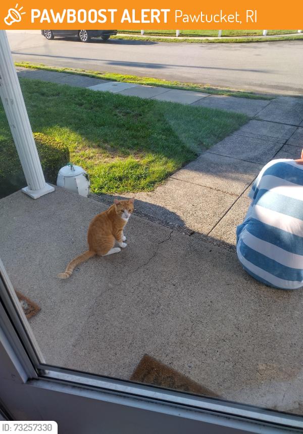 Found/Stray Unknown Cat last seen Off of Newport avenue Pawtucket, Pawtucket, RI 02861
