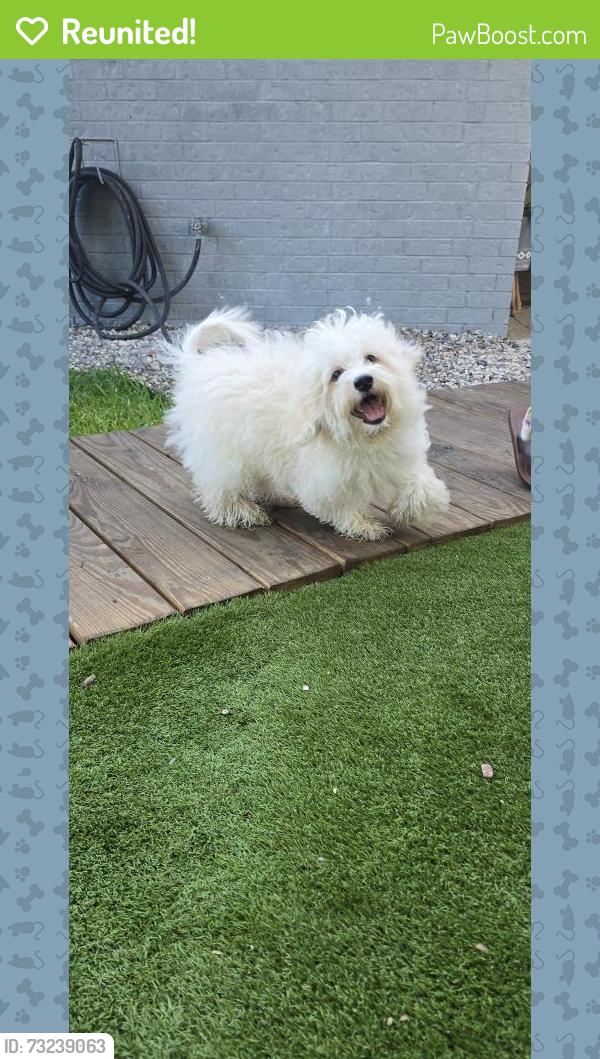 Reunited Male Dog last seen Aldine Westfield - Timberlane - Spring, Spring, TX 77373