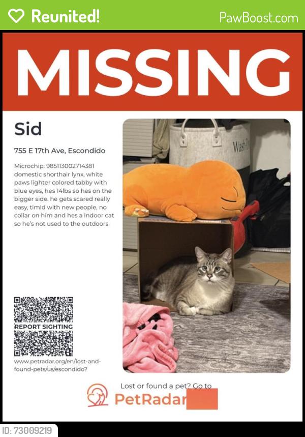 Reunited Male Cat last seen Near E 17th Ave, Escondido, CA 92025