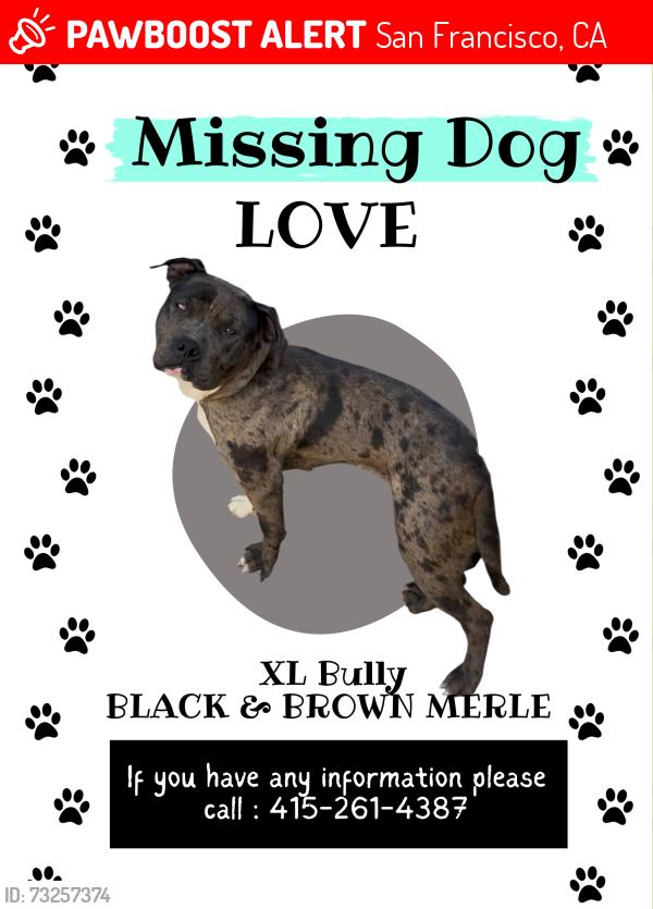 Lost Female Dog last seen Thomas and Lane (Bayview), San Francisco, CA 94124