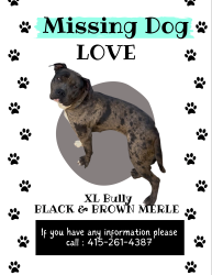Lost Female Dog last seen Thomas and Lane (Bayview), San Francisco, CA 94124
