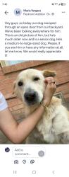 Reunited Male Dog last seen Seco and Jim Miller Gillette, Dallas, TX 75217