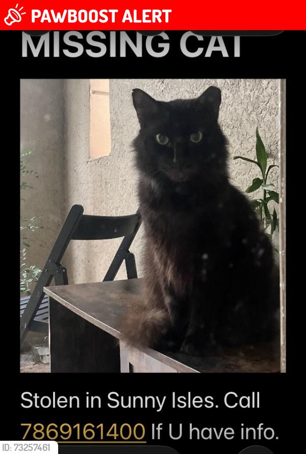 Lost Female Cat last seen Porto Bellagio & Beach Place, Sunny Isles Beach, FL 33160