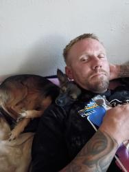 Lost Male Dog last seen 35yh Ave and cactus, Phoenix, AZ 85029