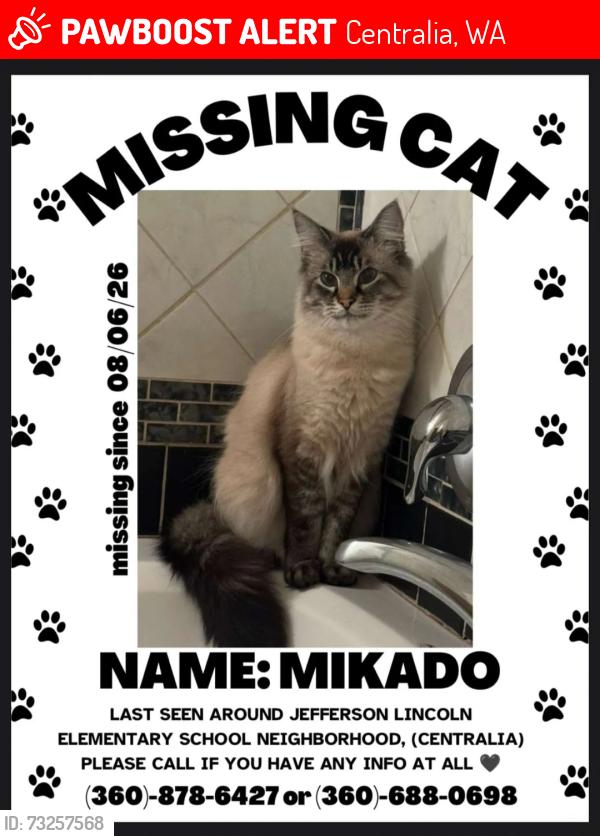 Lost Male Cat last seen Jefferson Lincoln Elementary, Centralia, WA 98531