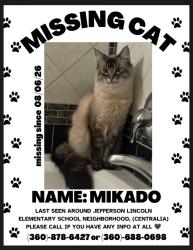 Lost Male Cat last seen Jefferson Lincoln Elementary, Centralia, WA 98531