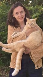 Lost Male Cat last seen Elliot Terrace and Elliot St, Newton, MA 02464