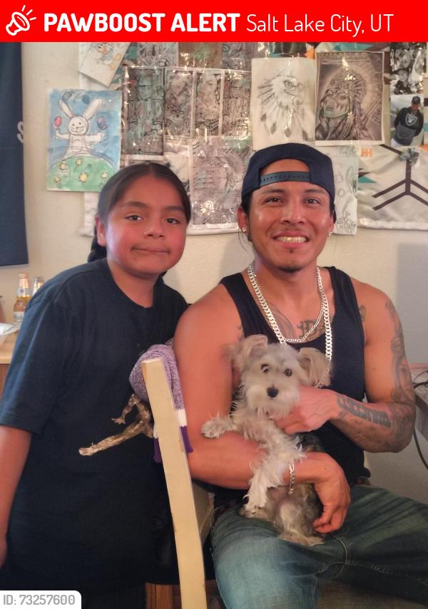 Lost Male Dog last seen Redwood road, Salt Lake City, UT 84119