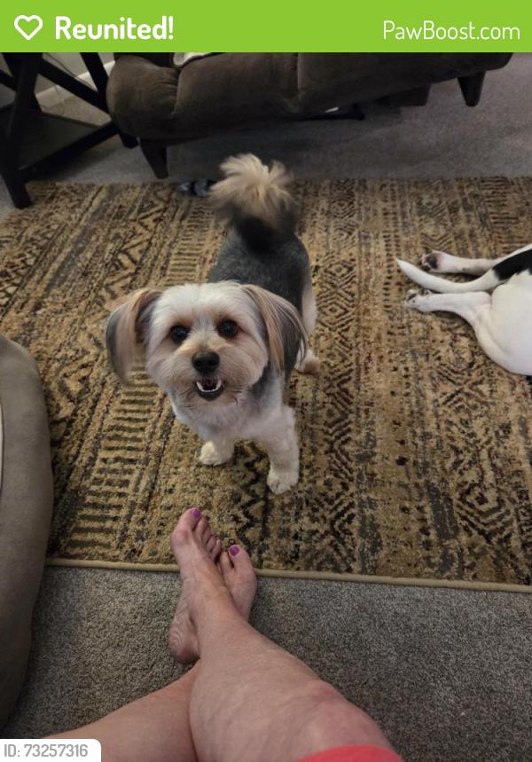 Reunited Male Dog last seen Near, Orefield, PA 18069
