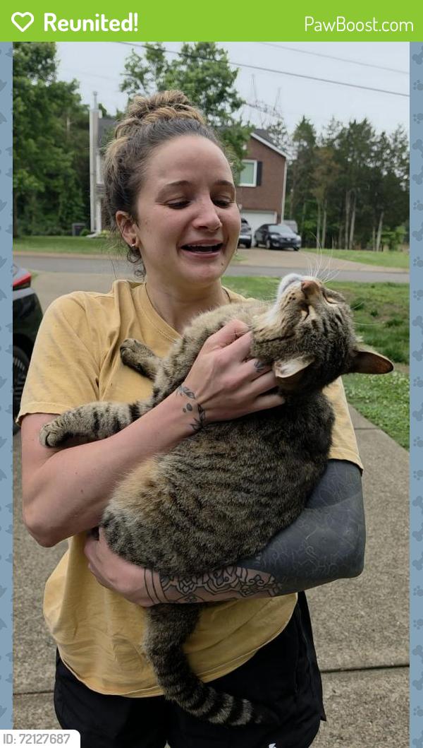 Reunited Male Cat last seen Off Florence Rd & Valor Dr. Near the Miles Cemetary, Murfreesboro, TN 37129