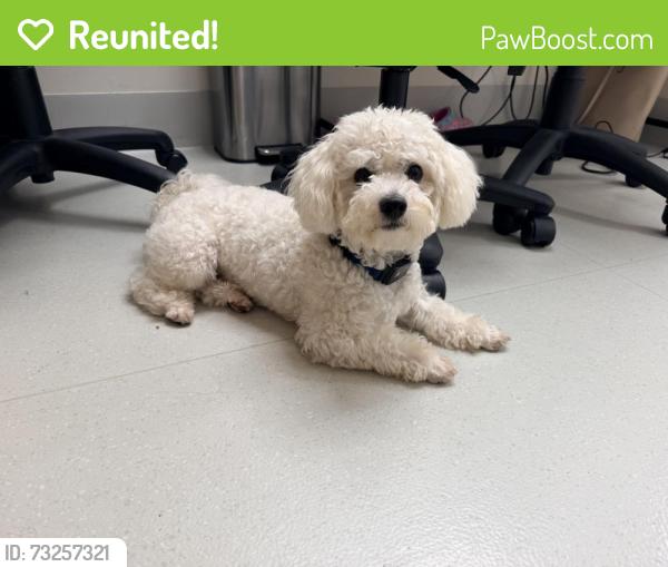 Reunited Male Dog last seen Bidwell ave, Jersey City, NJ 07305