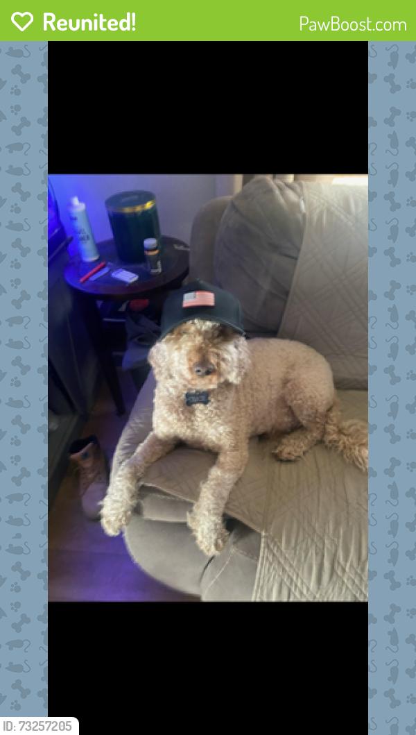 Reunited Male Dog last seen GAVIN STREET AND LOCKWOOD BOULEVARD, Yonkers, NY 10701