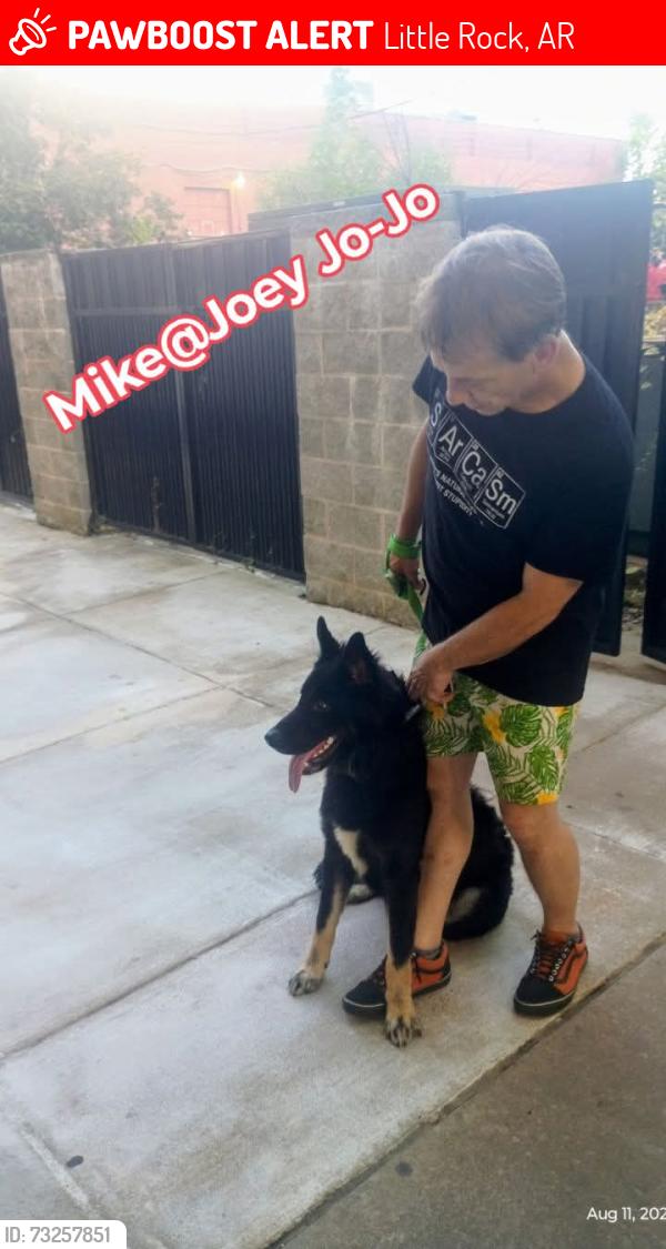 Lost Male Dog last seen Laquntia Broadway, Little Rock, AR 72203