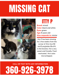 Lost Male Cat last seen Near 41st Ave NE and Everglades Blvd N, Rural Estates, FL 34120