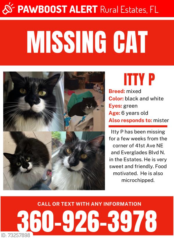 Lost Male Cat last seen Near 41st Ave NE and Everglades Blvd N, Rural Estates, FL 34120