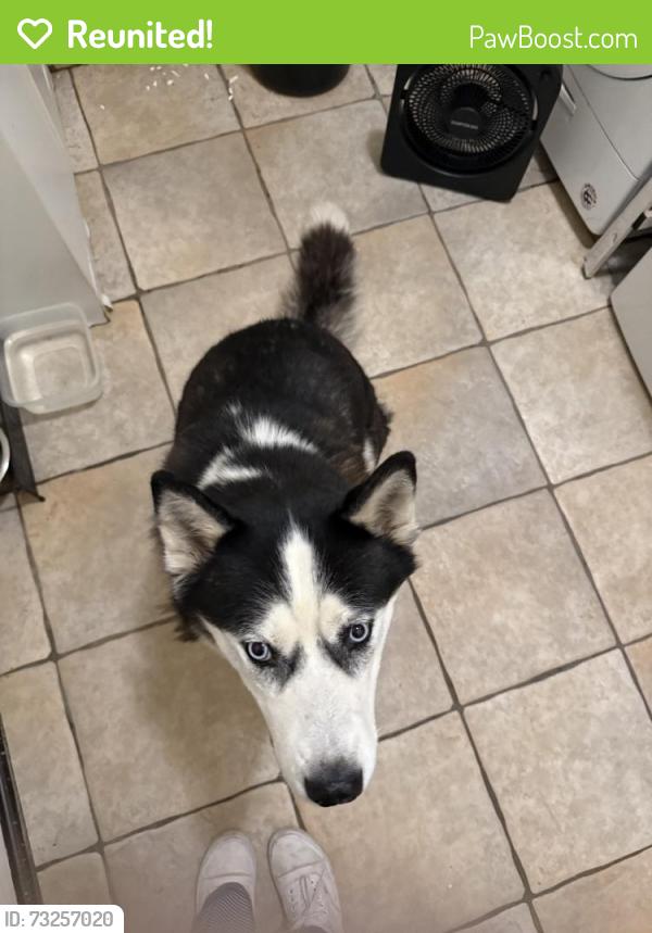 Reunited Unknown Dog last seen Park Ave & Dr Martin Luther King Jr Blvd, New York, NY 10035, USA, New York, NY 10035